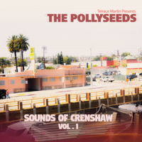Terrace Martin Presents The Pollyseeds - Sounds of Crenshaw Vol. 1 artwork