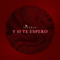 Y Si Te Espero — Literal