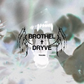Trauma Brothel & Dryve