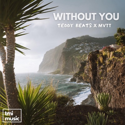 Without You (Radio Edit) - Single