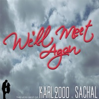 We'll Meet Again (feat. Sachal Vasandani) - Single - Karl 2000