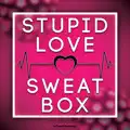 Stupid Love
