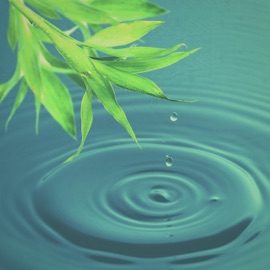 Got Me All Jack Powells