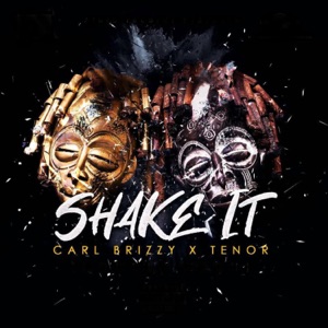 Shake It (feat. Tenor)