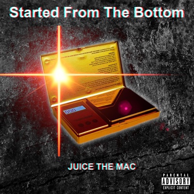 Started from the Bottom - Single
