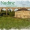 Nadine (Tassagh Remix) - Alison Newman lyrics