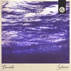 Toonorth - Silience