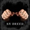 You Ain't Hard - Nu Breed lyrics