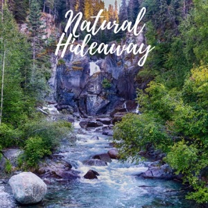 Natural Hideaway