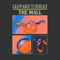 Leopard Tuesday