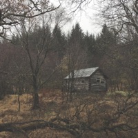 The Road