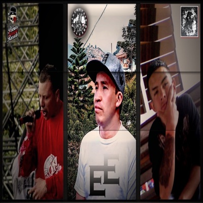 Vigentes - Single