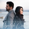 Apalah Cinta (feat. Keremcem) - Single