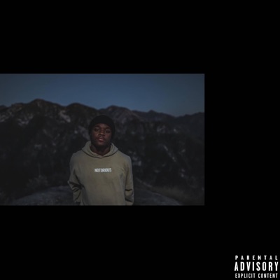 The Night Life - Single