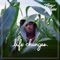 Life$Tyle - Casey Veggies lyrics