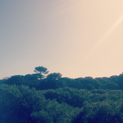 Ser el no hacer (feat. Djridoo Ápice) - Single