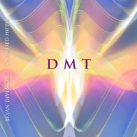 Dmt - Single - Bryan Divisions & The Mixed Hippie