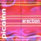 Erection - Picainn lyrics