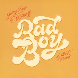 Bad Boy (SMLE Remix) [feat. bbno$] - Single