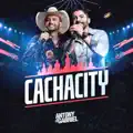 Cachacity