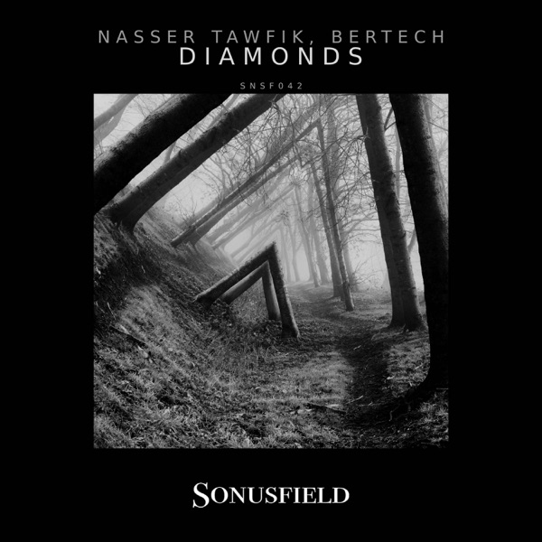 Diamonds - Single