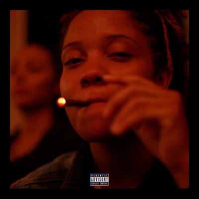 Fuel to the Fire - Single