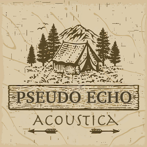 PSEUDO ECHO スード・エコー ALBUM アルバム 10枚セット
