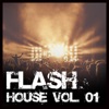 Flash House, Vol. 01