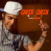 Check Check - Single - L'Insane