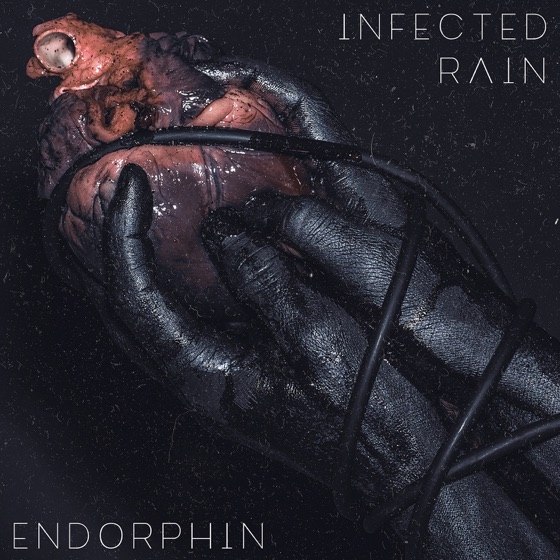 Cover artwork for Storm
