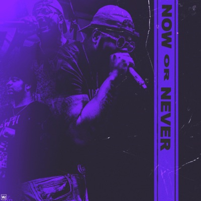Now or Never - Single