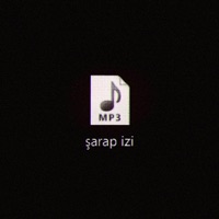 Şarap İzi (feat. Frxzbie) - Single - Mert Özsüren