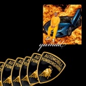 YUMBORGHINI artwork