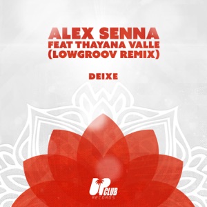 Deixe (feat. Thayana Valle) [Lowgroov Remix] - Single