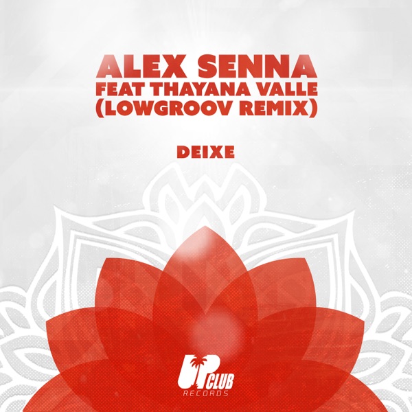 Deixe (feat. Thayana Valle) [Lowgroov Remix] - Single