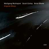 Wolfgang Muthspiel - Angular Blues