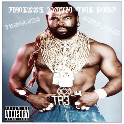 Finesse With the Drip (feat. $mok Rilla) - Single