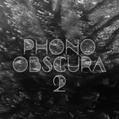 Phono Obscura 2 artwork