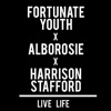 Live Life (feat. Alborosie & Harrison Stafford) - Single