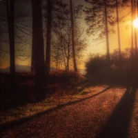 When Paths Cross - Single - Archer Official