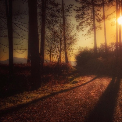 When Paths Cross - Single