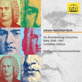 Brandenburg Concerto No. 4 in G Major, BWV 1049: II. Andante artwork