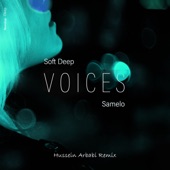 Voices (Hussein Arbabi Remix) artwork