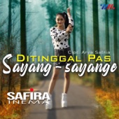 Ditinggal Pas Sayang Sayange artwork