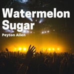 Watermelon Sugar - Single