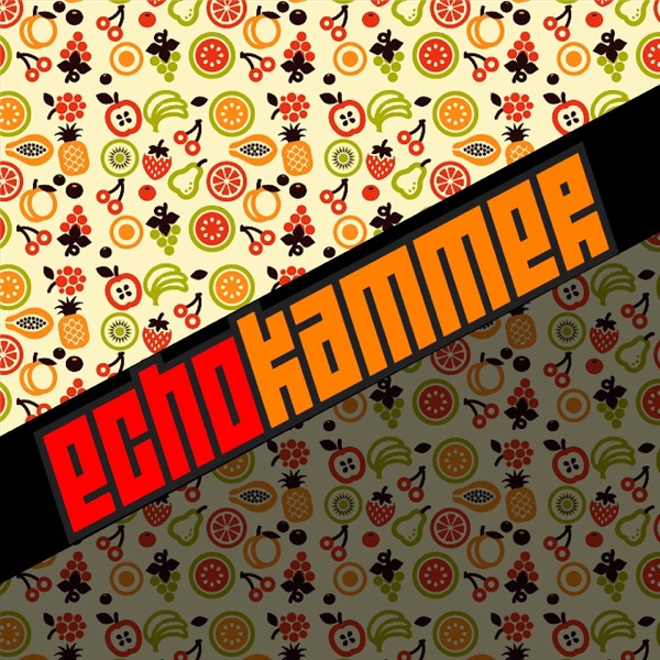 Echokammer cover