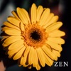 Zen - Single