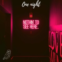 One Night - Single - Lazer Owl