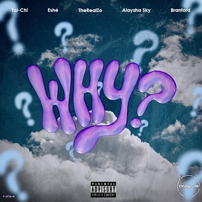Why? (feat. Tai-Chi, Eshé, TheRealZo, Alayzha Sky & Branford) - Single