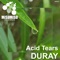 Acid Tears - Duray lyrics
